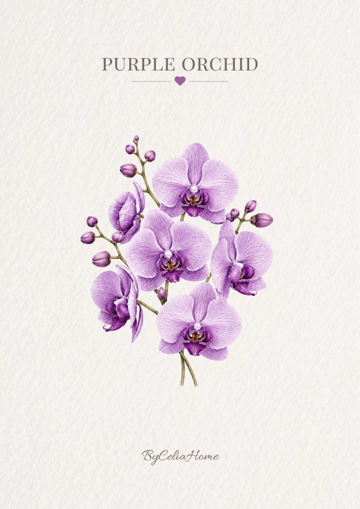 Visuel Purple Orchid représentant des orchidées violettes délicates sur un fond blanc texturé.